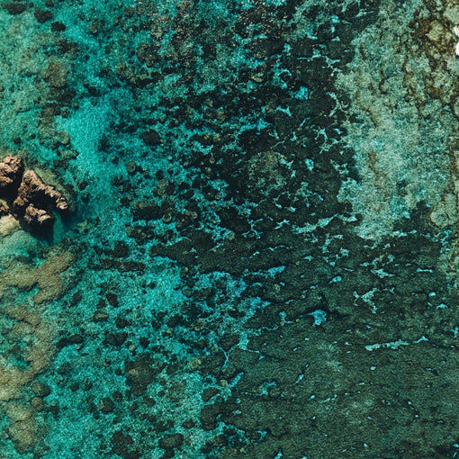 琉華の思想｜philosophy